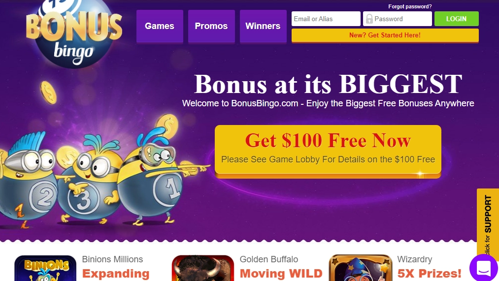 Bonus Bingo Casino