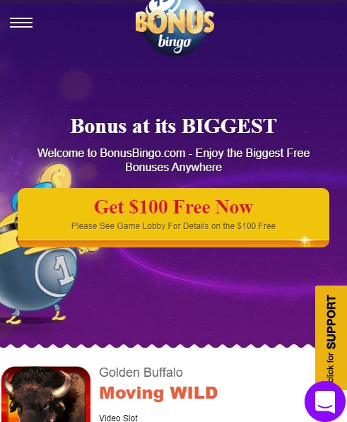 Bonus Bingo Casino